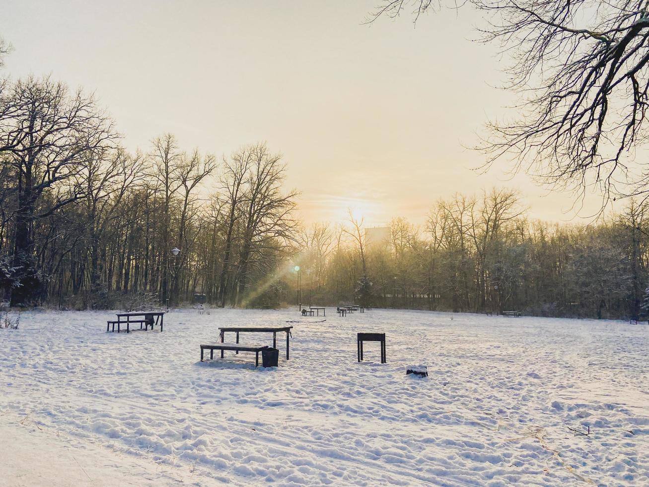 winter zonsondergang in sneeuw gedekt park. seizoen en verkoudheid weer concept foto