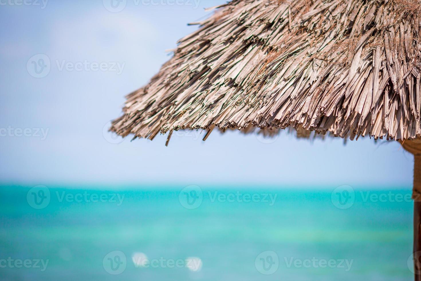 detailopname rietje strand paraplu Aan tropen foto