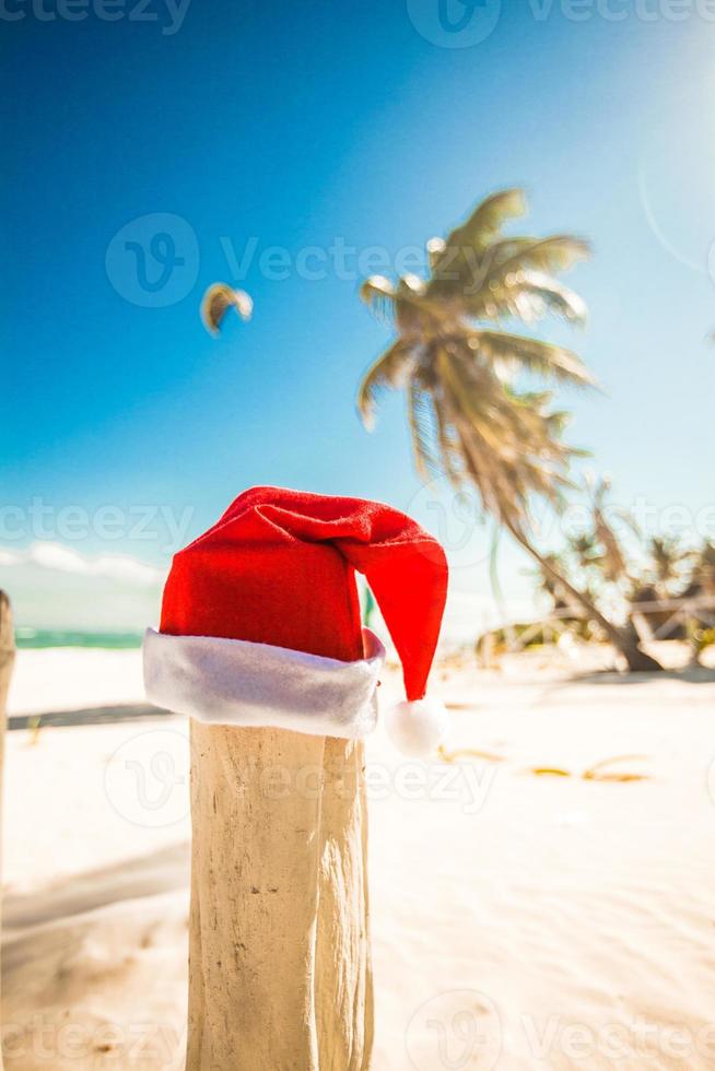 de kerstman claus hoed Aan wit zanderig strand in zonnig dag foto