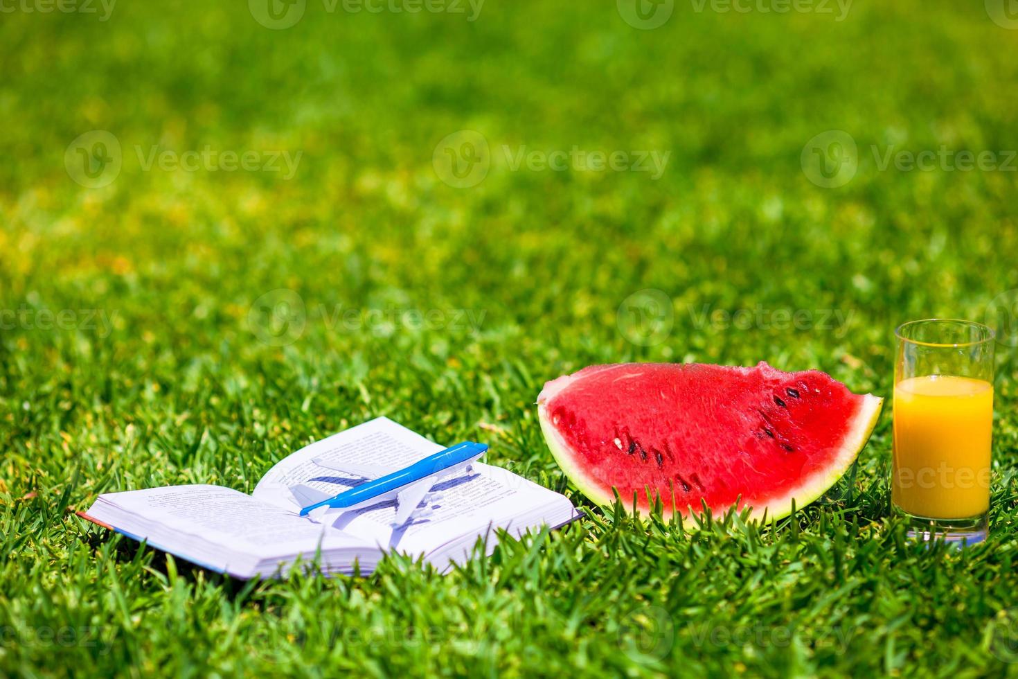 zomer en vers thema rood rijp plak watermeloen en glas van oranje sap Aan groen gras foto