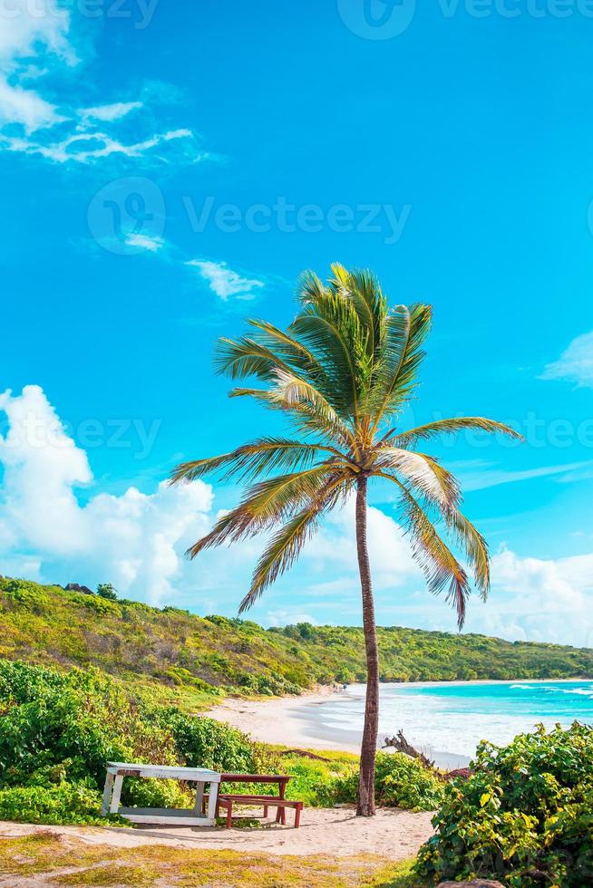 idyllisch tropisch strand met wit zand, turkoois oceaan water en groot palm bomen foto