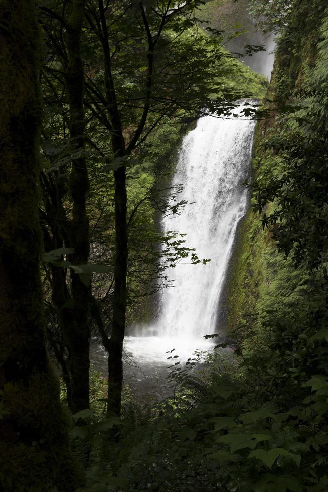 waterval in een bos foto