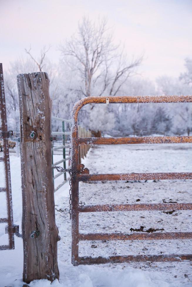 metalen en houten hek in de sneeuw foto