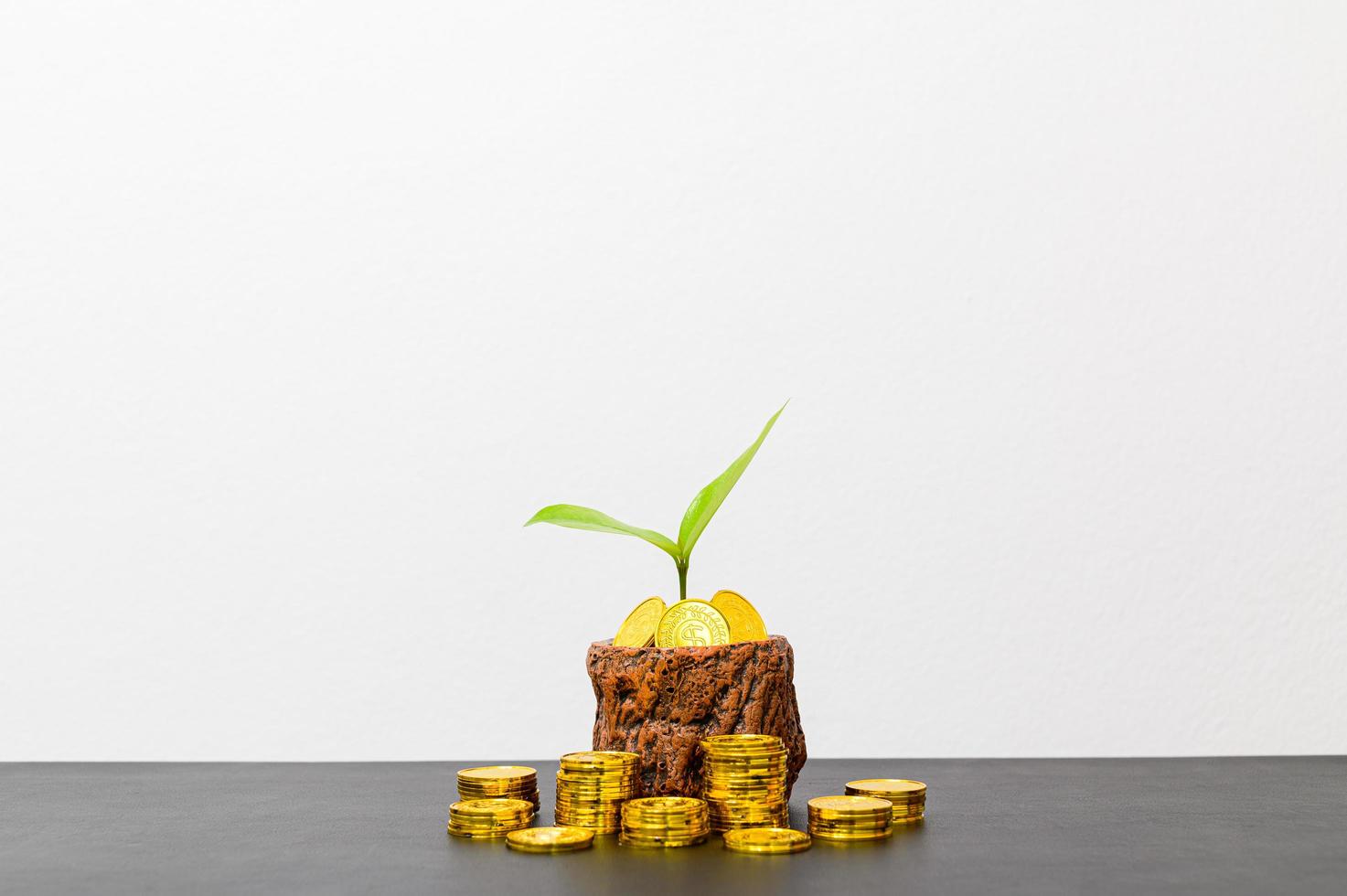concept van financiële groei met munten foto