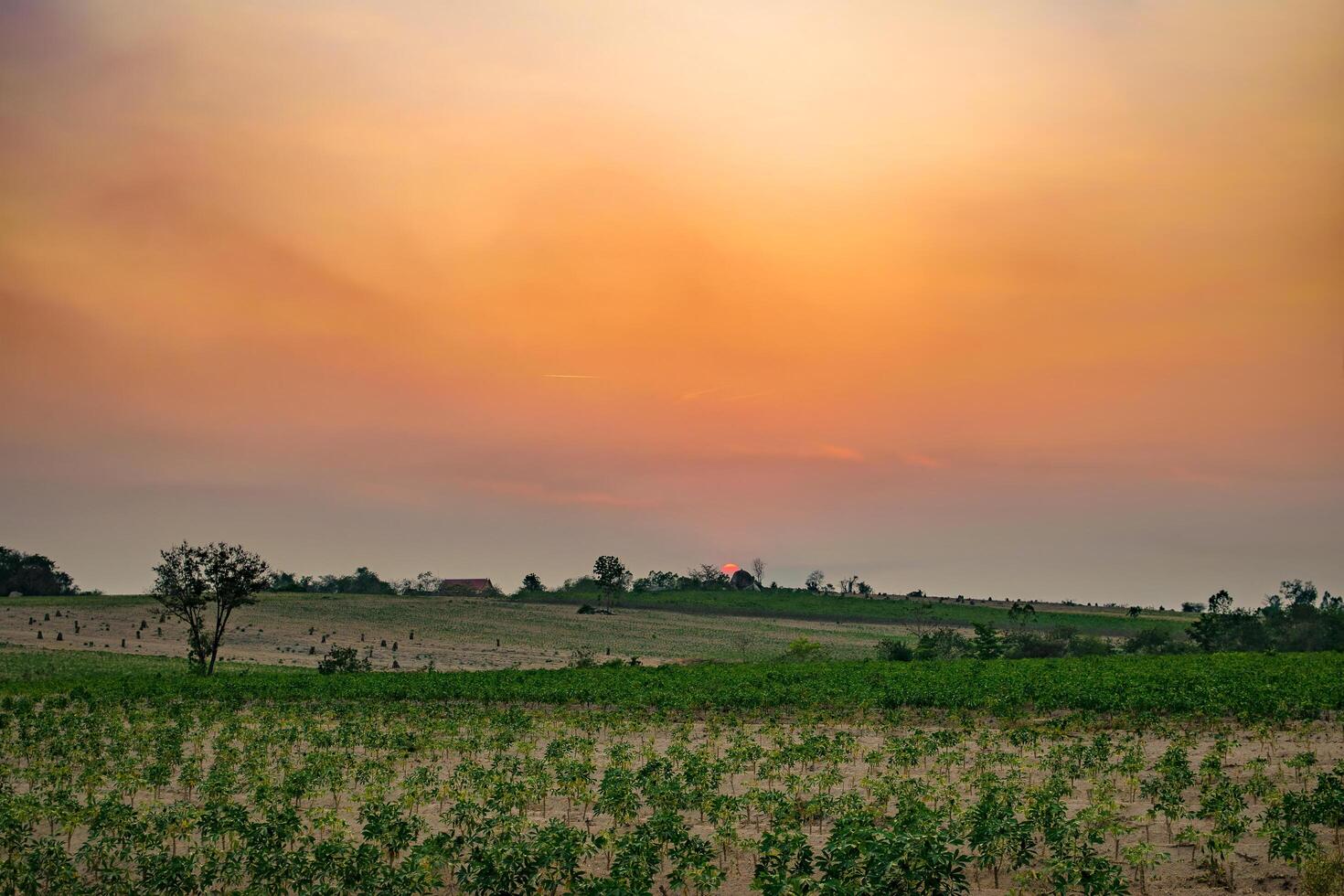 landschap bij zonsondergang foto