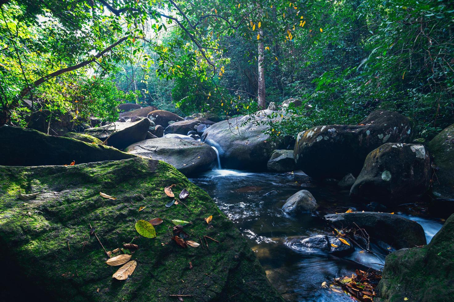 bos in het Khao Chamao Waterfall National Park foto