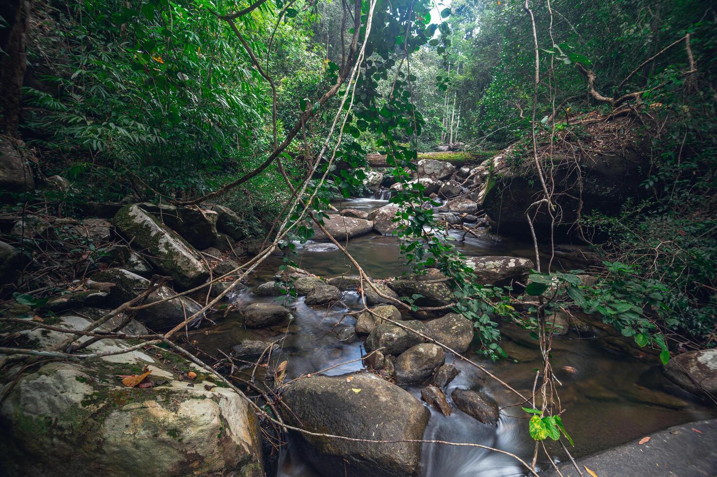 stroom in het Khao Chamao Waterfall National Park foto