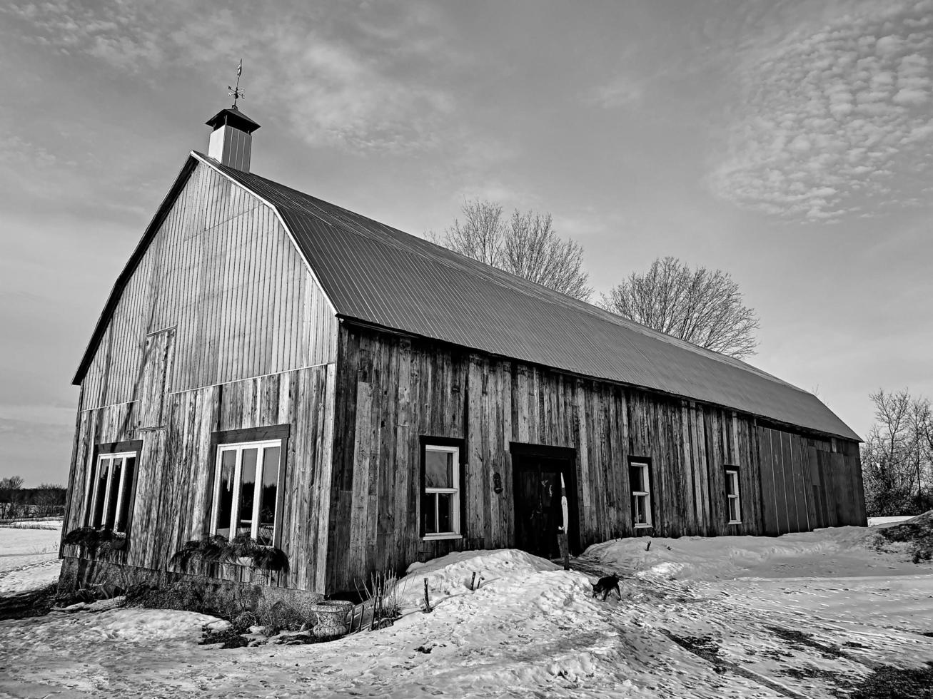 Ulverton, Quebec, Canada, 9 maart 2020 - een schuur en een hond. foto