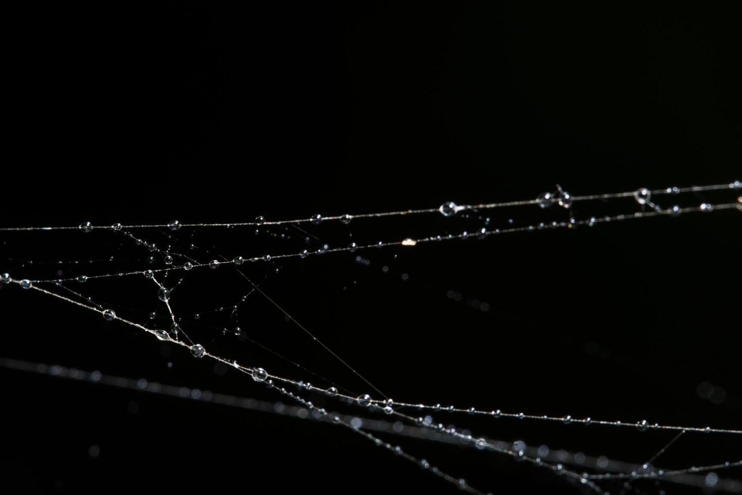 waterdruppels op het spinnenweb, close-up foto