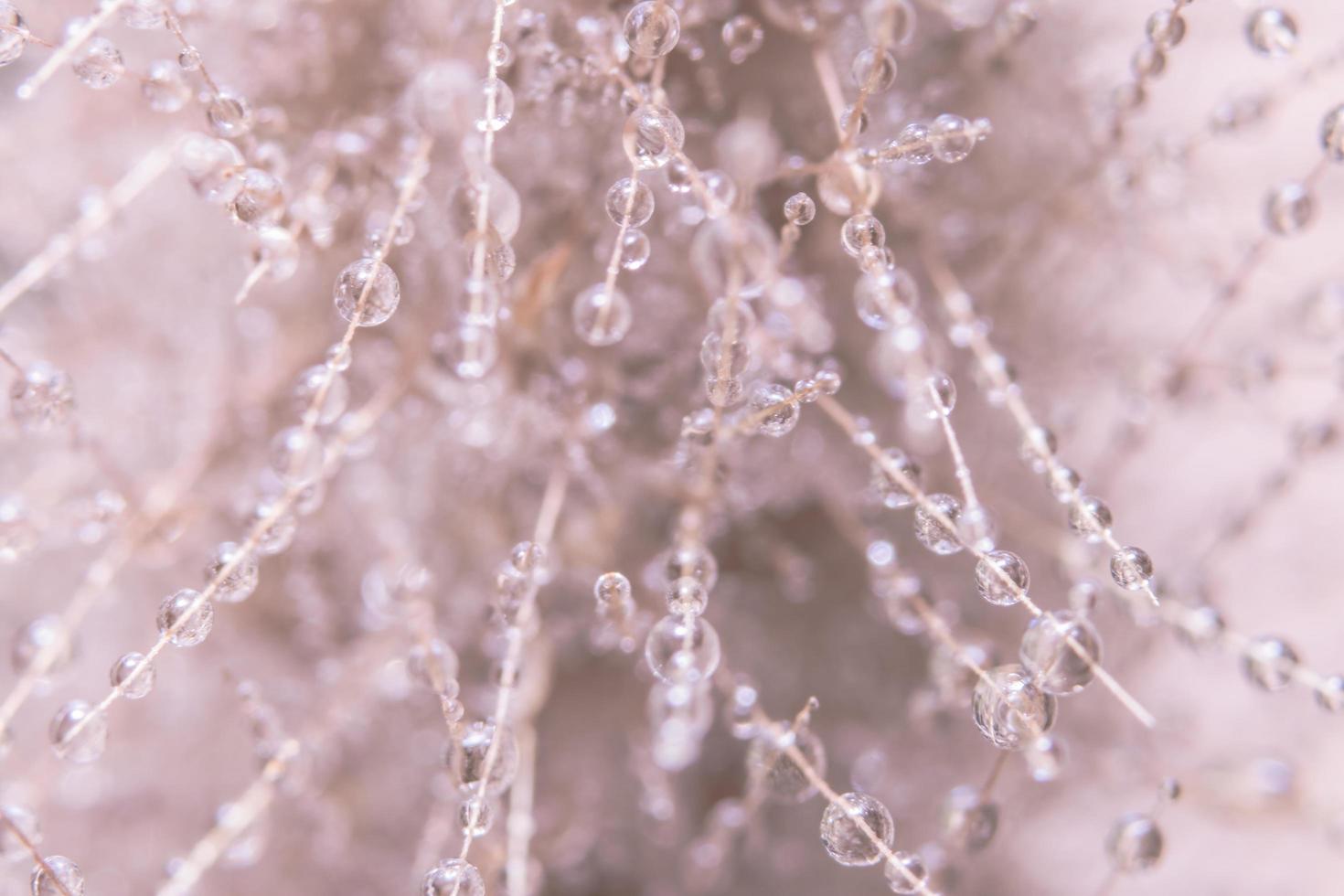 druppels water op een bloem foto