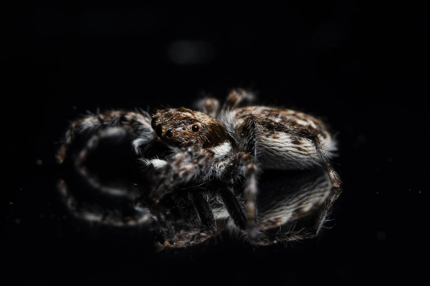 spin op zwarte spiegel foto