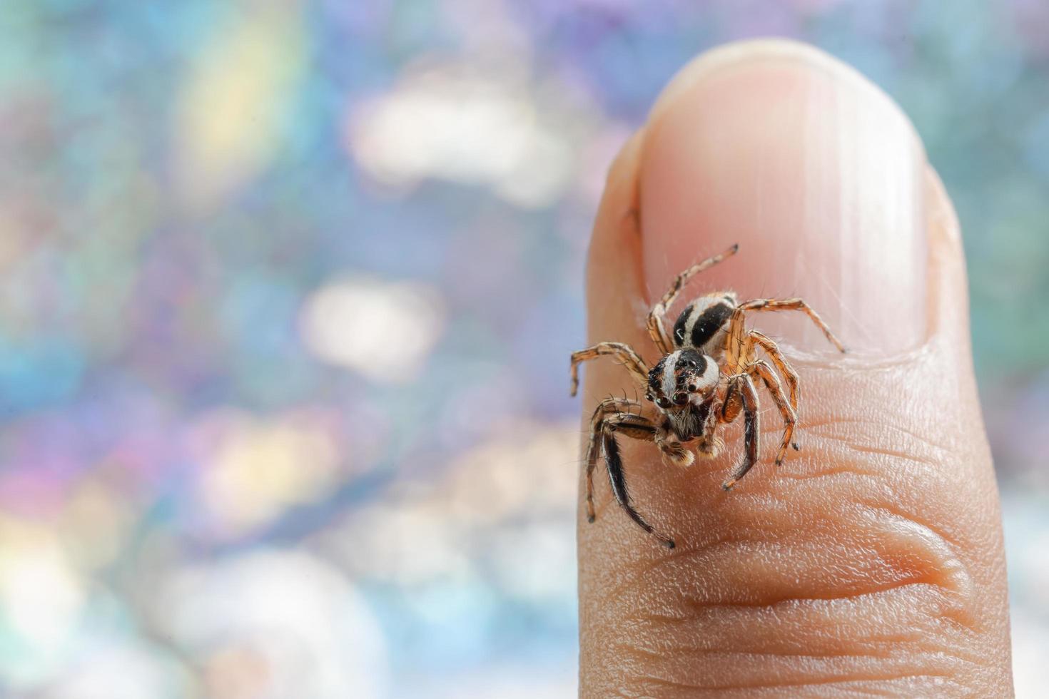 spin op de vinger van een man foto