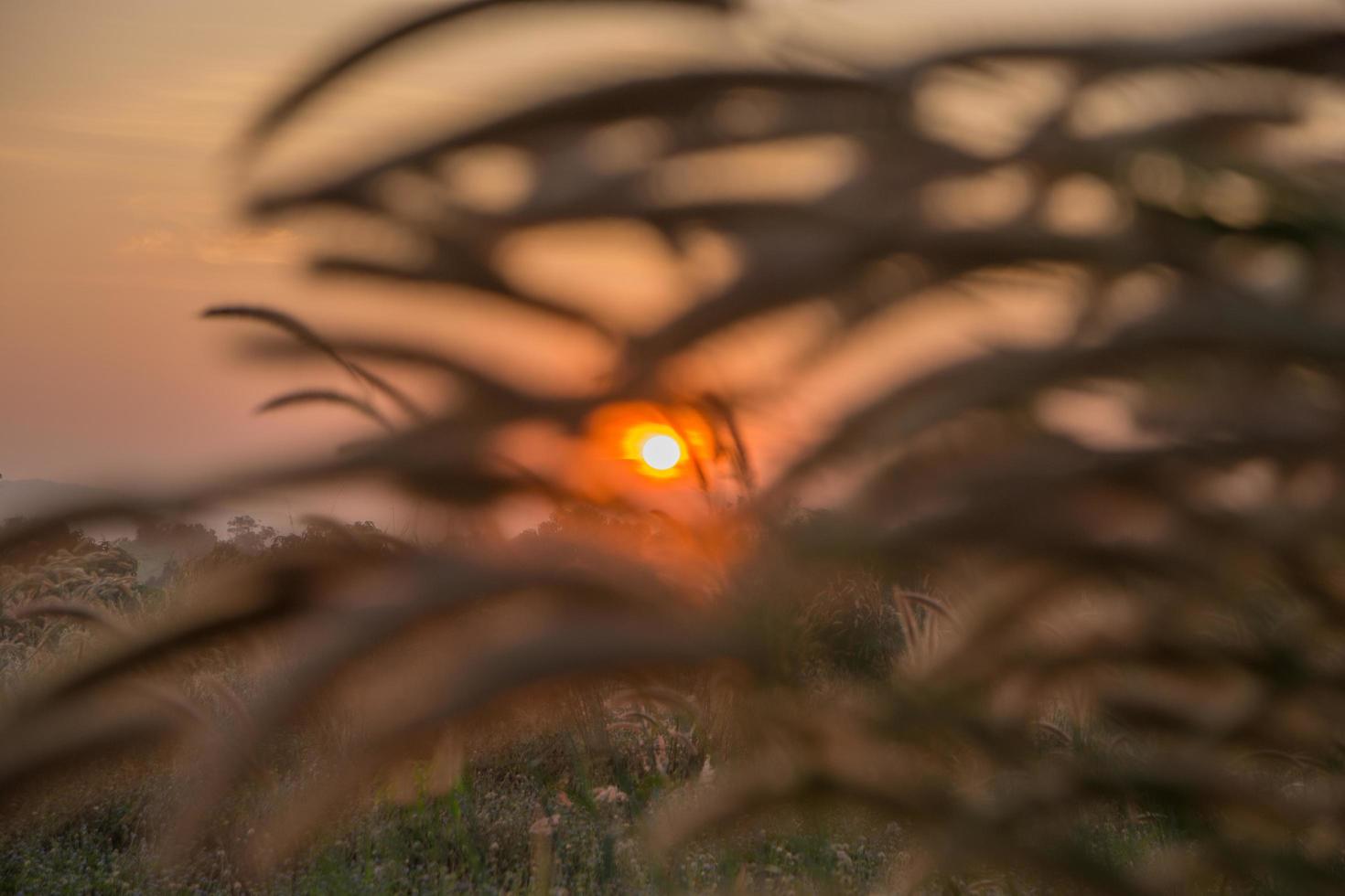 de hemel bij zonsopgang foto