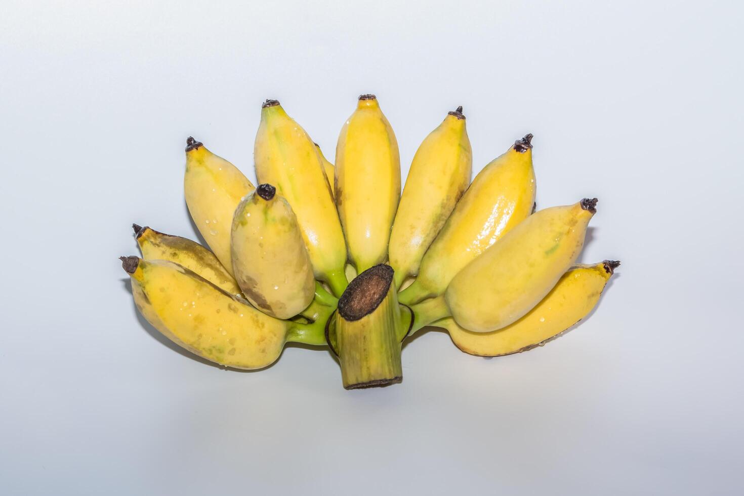 gele bananen op witte achtergrond foto