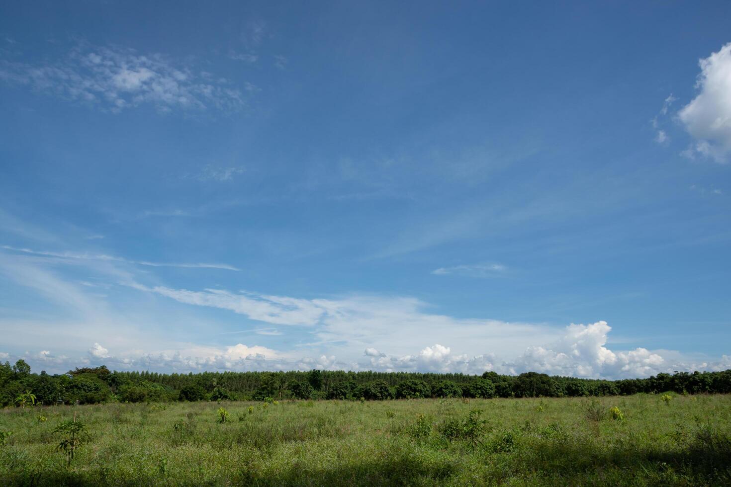 landschap in Thailand foto