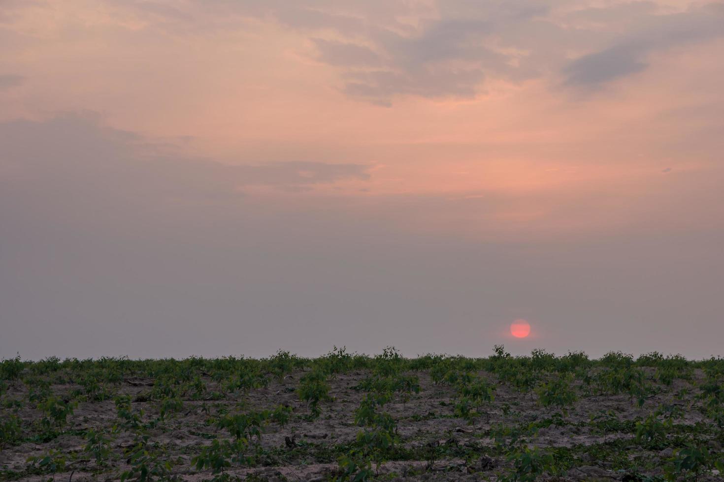 de hemel bij zonsondergang foto