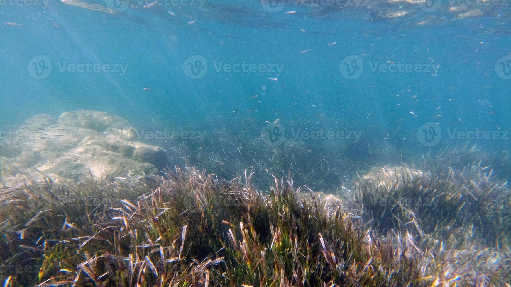 Sardinië kristal water onderwater- visie terwijl duiken foto