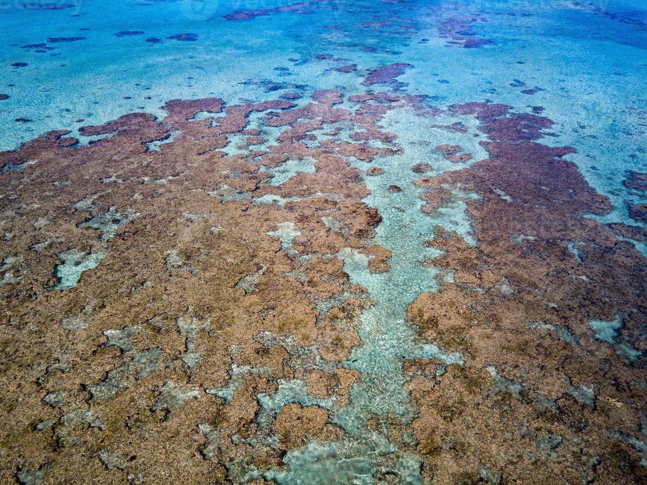 Polynesië koken eiland aitutaki lagune tropisch paradijs antenne visie foto