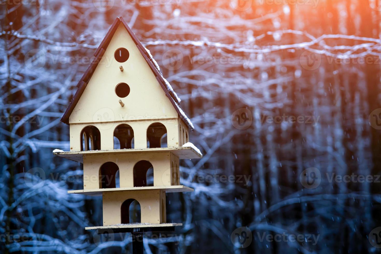 vogel voeder huis Aan de achtergrond van een winter Woud foto