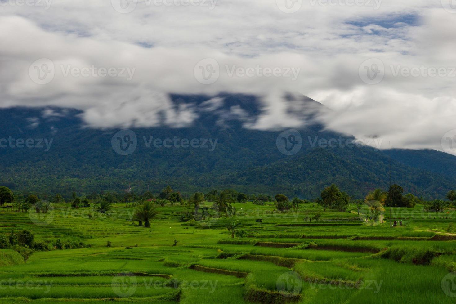 mooi ochtend- visie van panorama visie van Indonesisch rijst- velden met berg foto