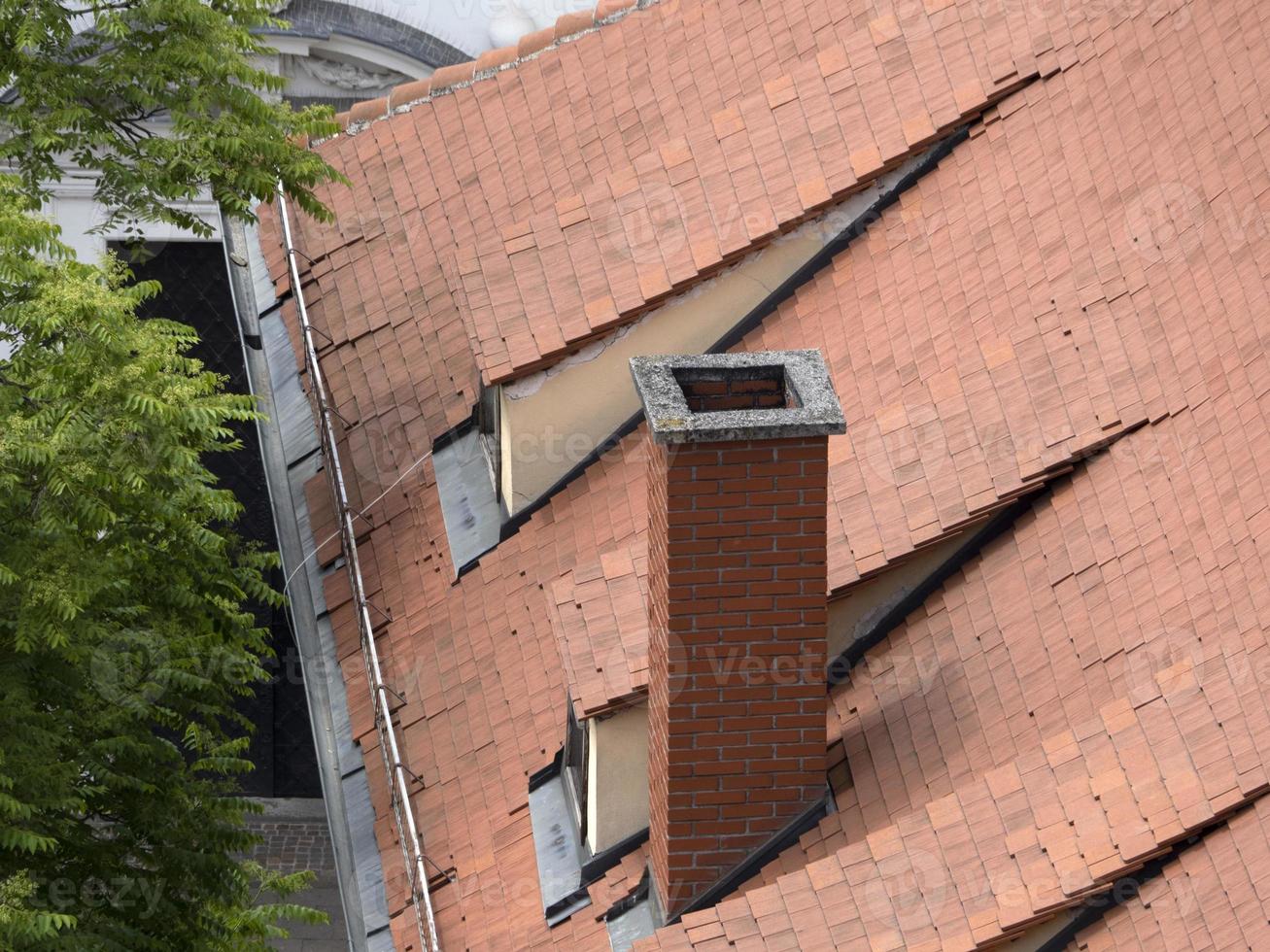 gras Oostenrijk daken details tegels foto