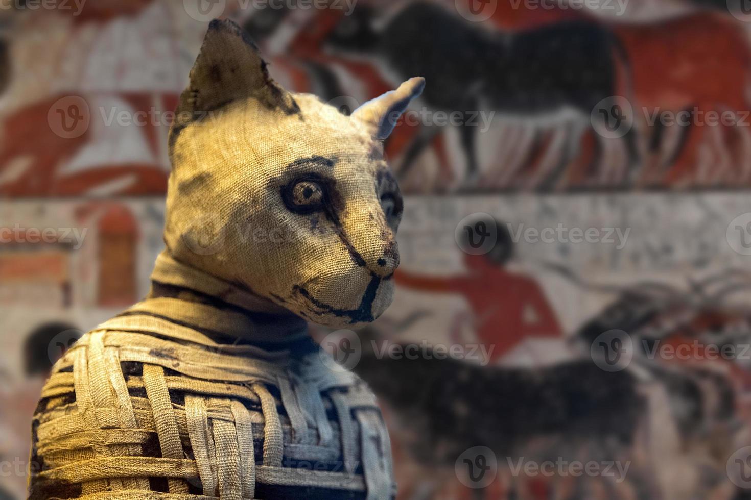 Egyptische mama kat gevonden binnen graf foto