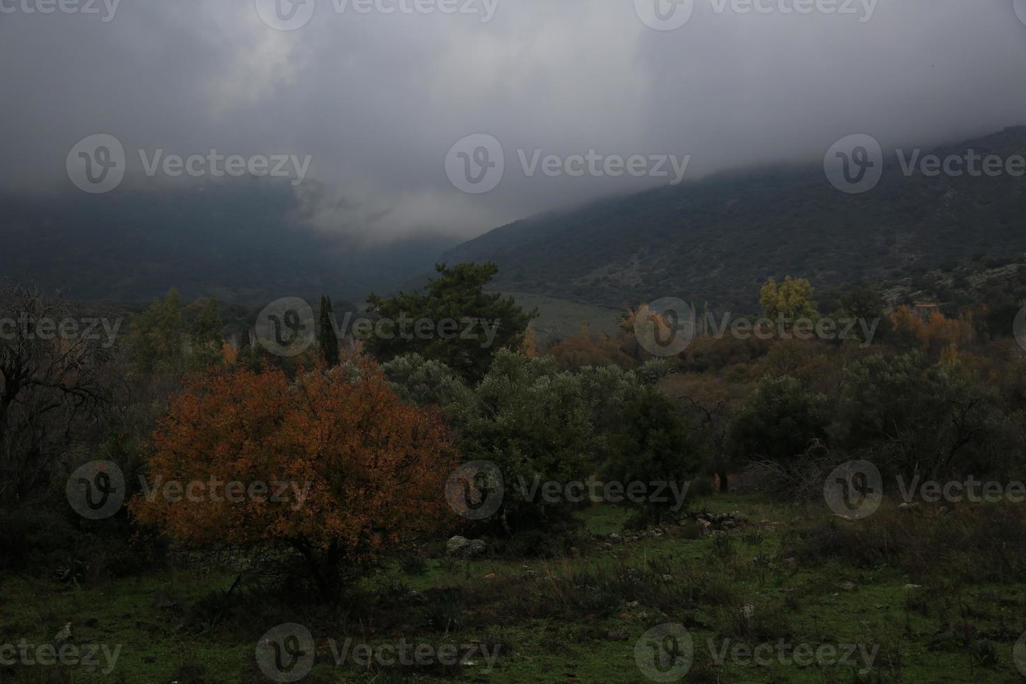 visie in een vallei in de golan hoogten foto