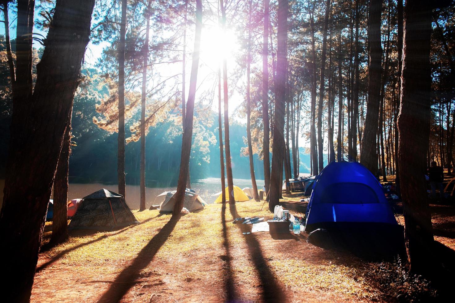 camping met de zonsopkomst Bij boom. foto