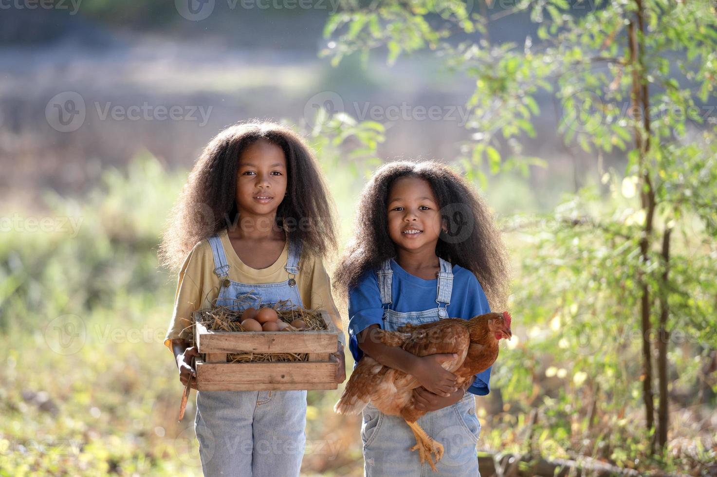 twee zwart meisjes houden een bruin kip in hun omhelzing van liefde met hun ogen Gesloten. een weinig zwart meisje is Holding een kip in een boerderij. foto