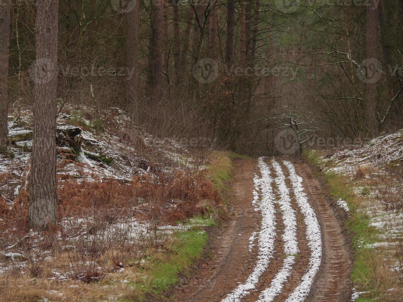 winter tijd Bij een meer in Duitsland foto