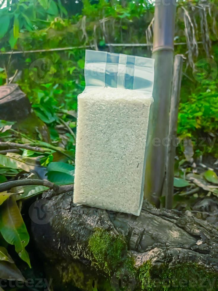 biologisch rijst- gezond voedsel van natuur foto