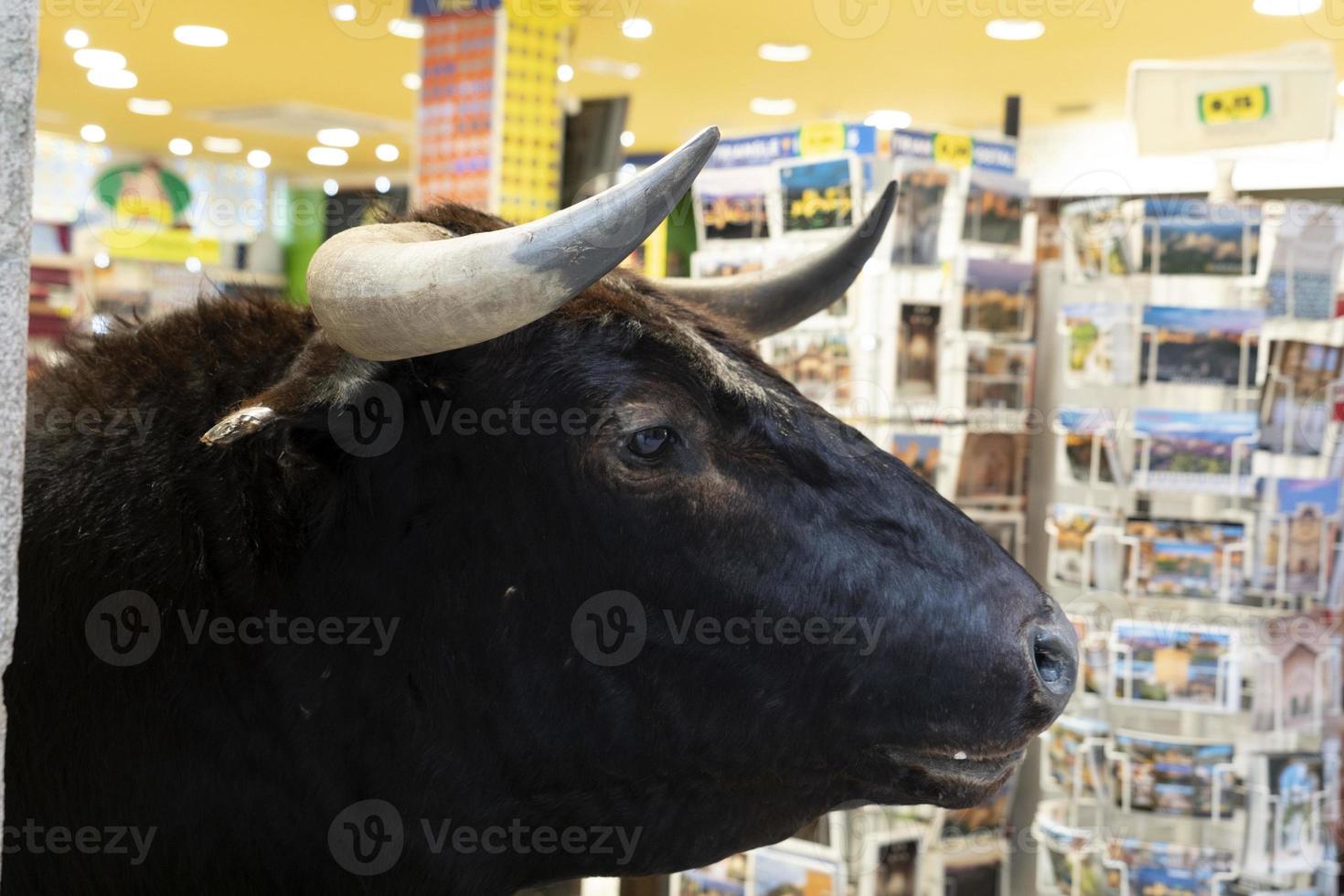 Spaans stier buiten souvenir winkel foto