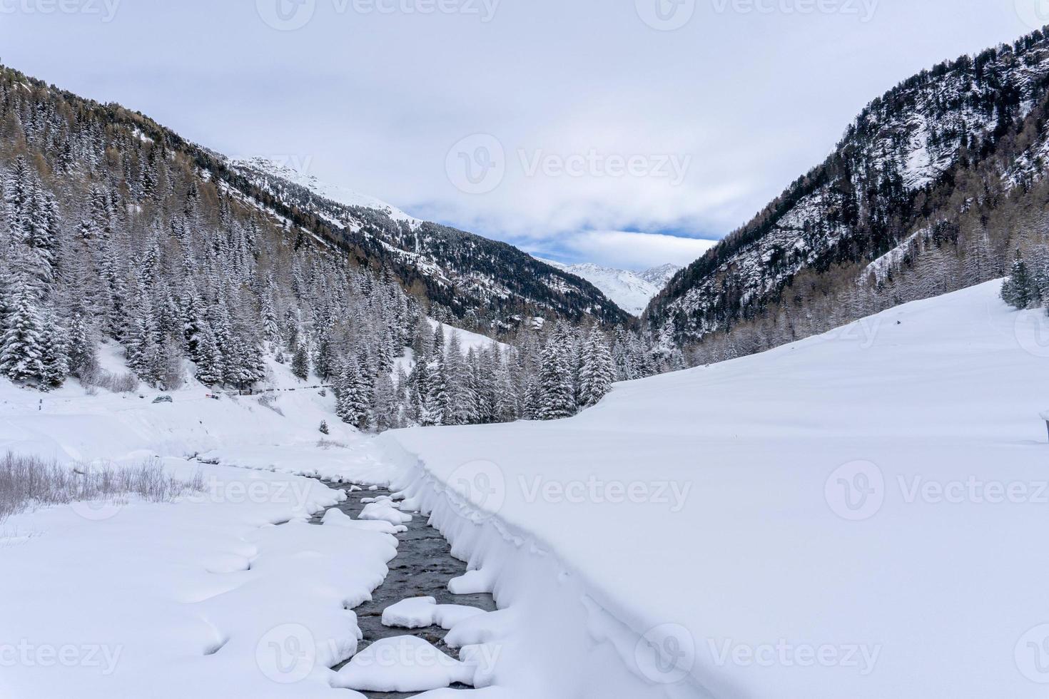 sneeuw wandelen Woud panorama landschap bergen van de kerstman caterina valfurva Italiaans Alpen in winter foto