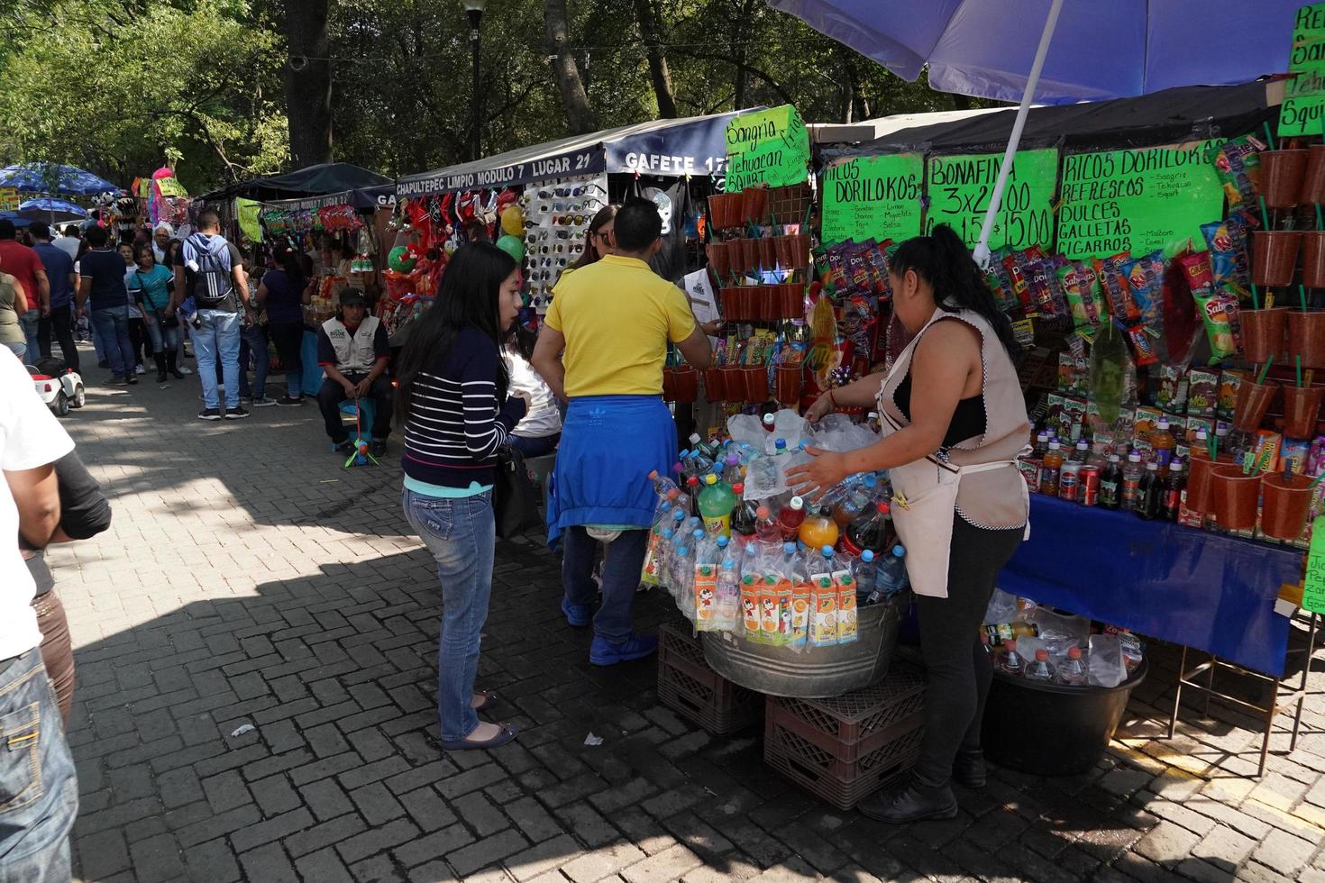 Mexico stad, februari 3 2019 - stad- park chapultepec druk van mensen Aan zondag foto