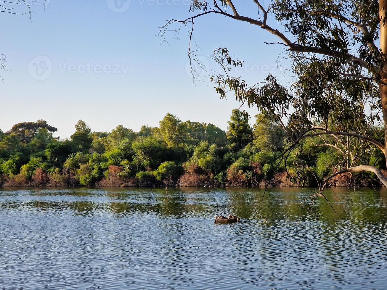 mooi meer en omgeving bomen Bij athalassa nationaal park, Cyprus. foto