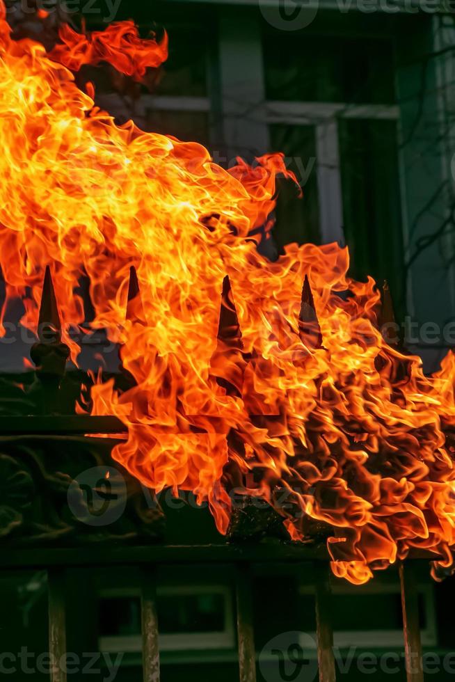 helder brand Aan de schutting. Clubs van oranje brand brandwond alles. brand. brandend vlam net zo een achtergrond. foto