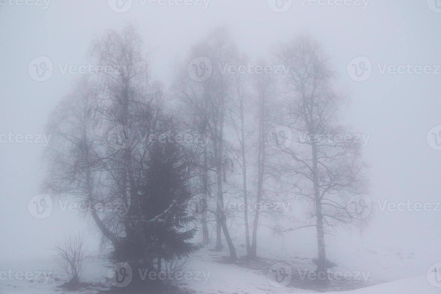 winter landschap in oostenrijks Alpen foto