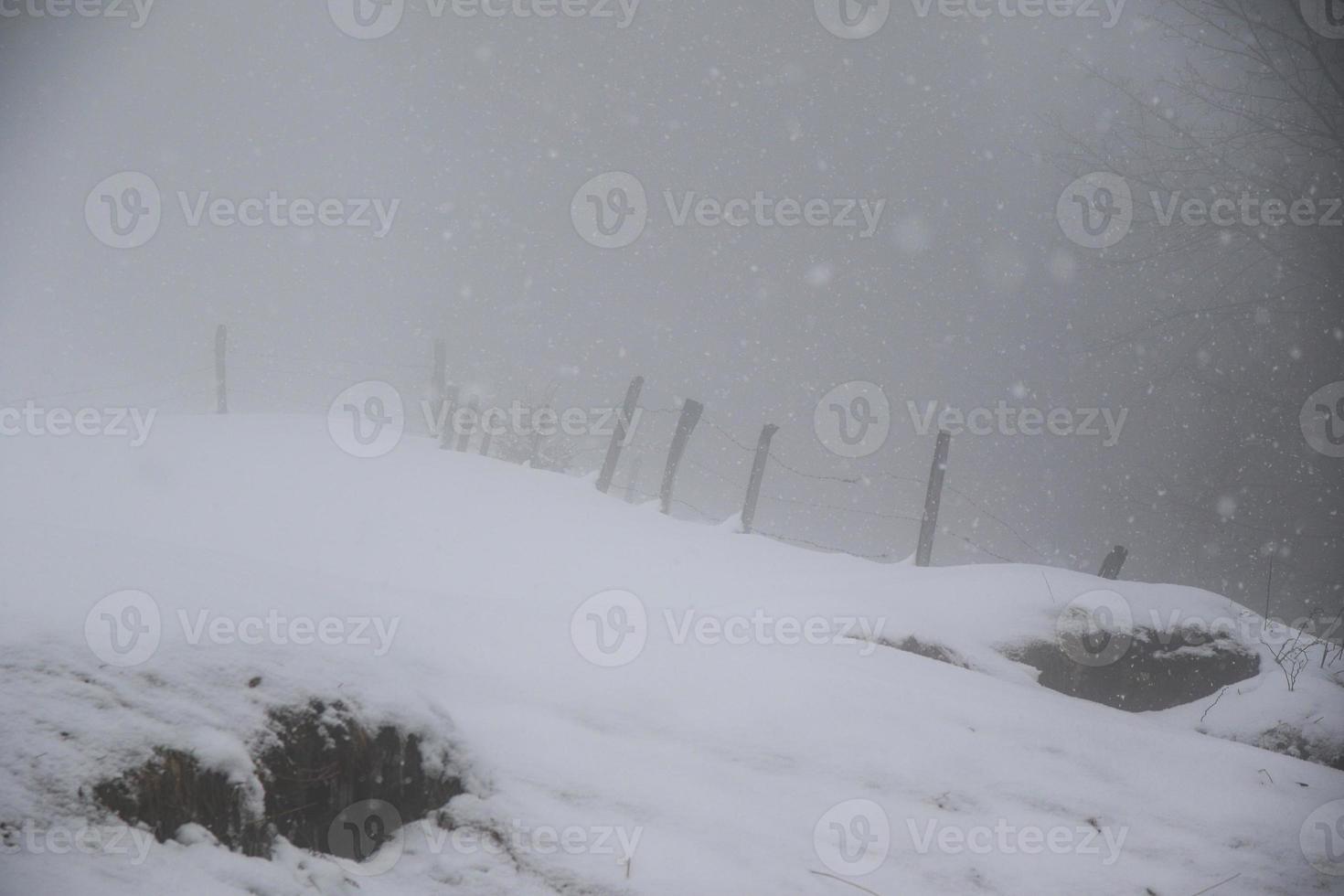 winter landschap in oostenrijks Alpen foto