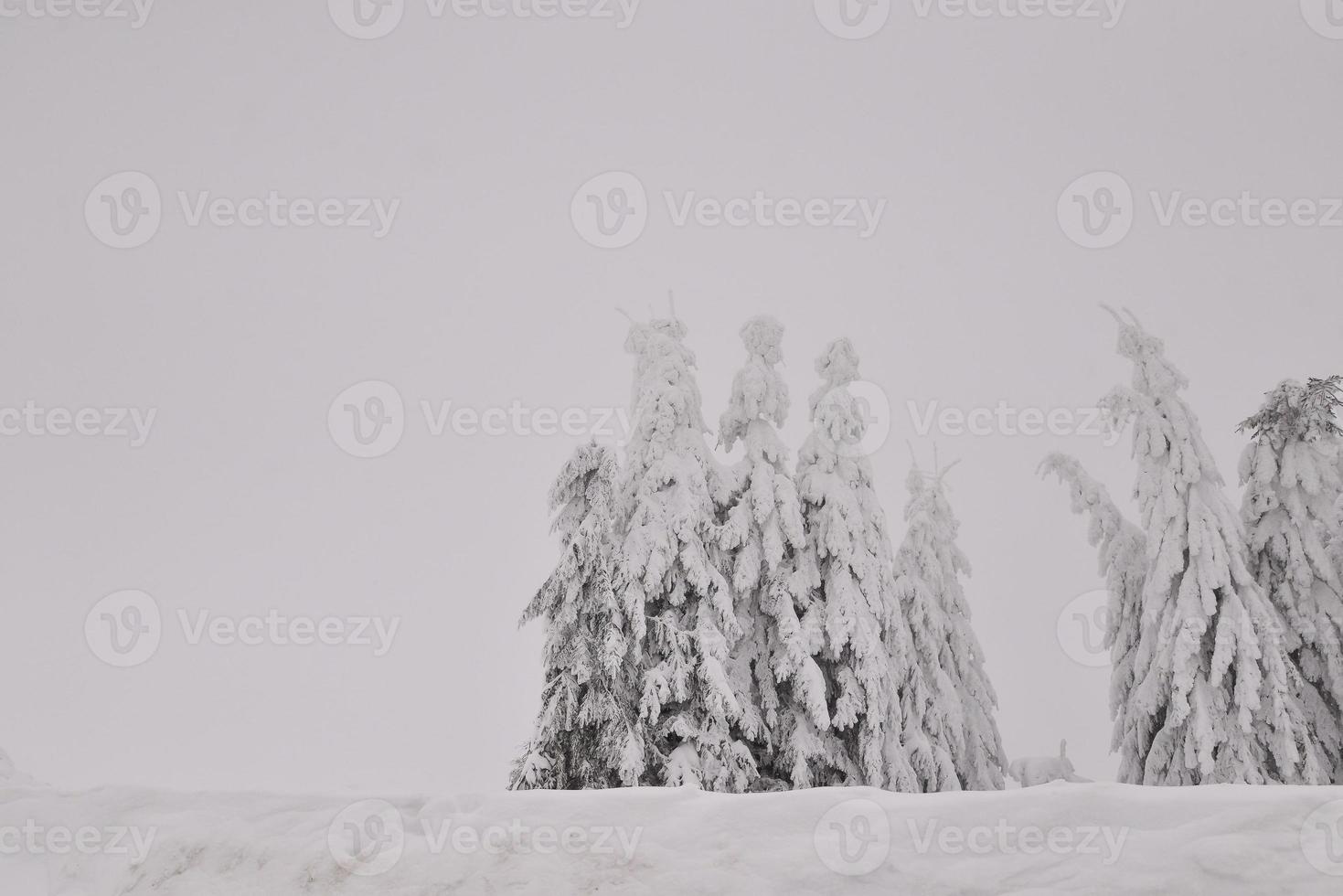 berg Woud landschap Aan een mistig winter dag foto