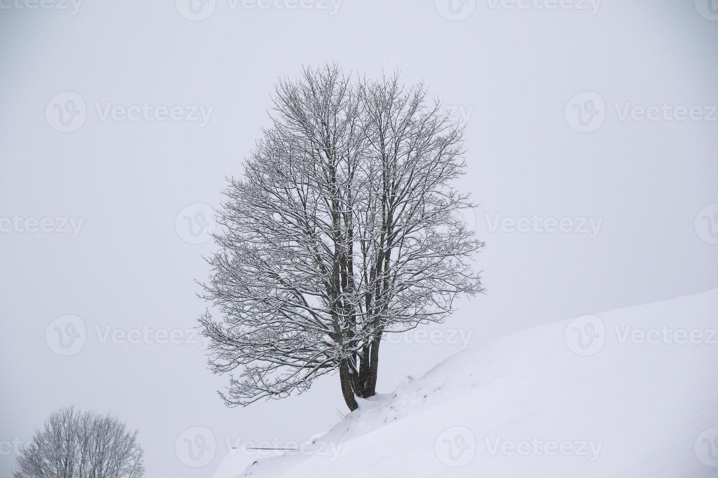 winter landschap in oostenrijks Alpen foto