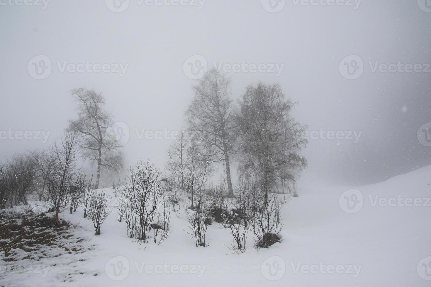 winter landschap in oostenrijks Alpen foto