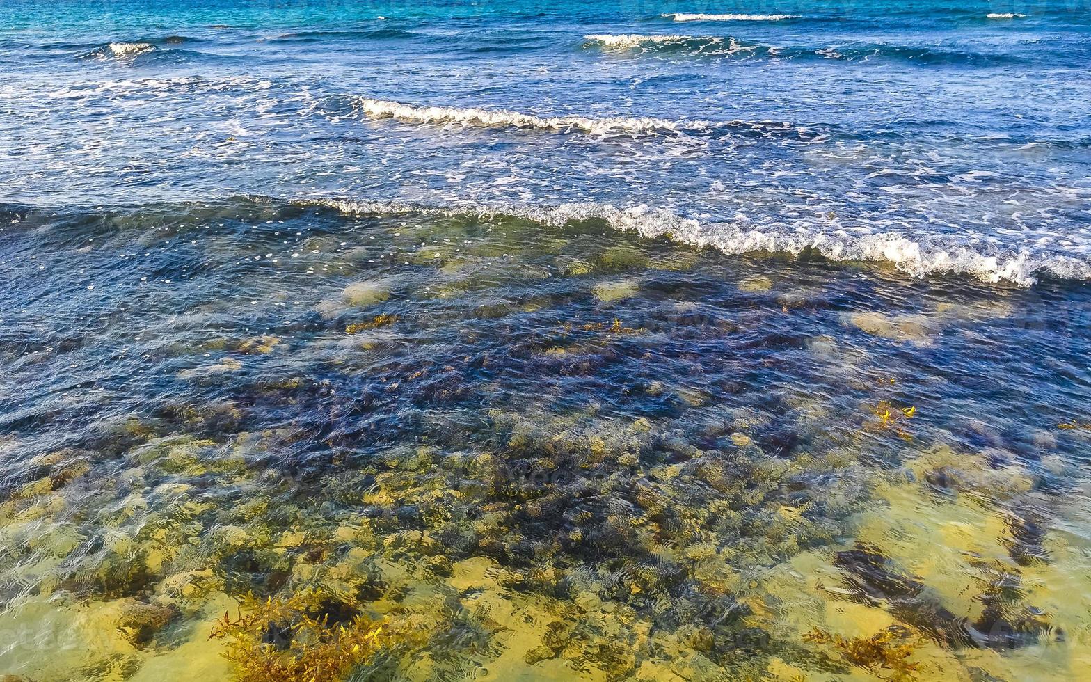 mooi caraïben strand totaal vies vuil naar zeewier probleem Mexico. foto