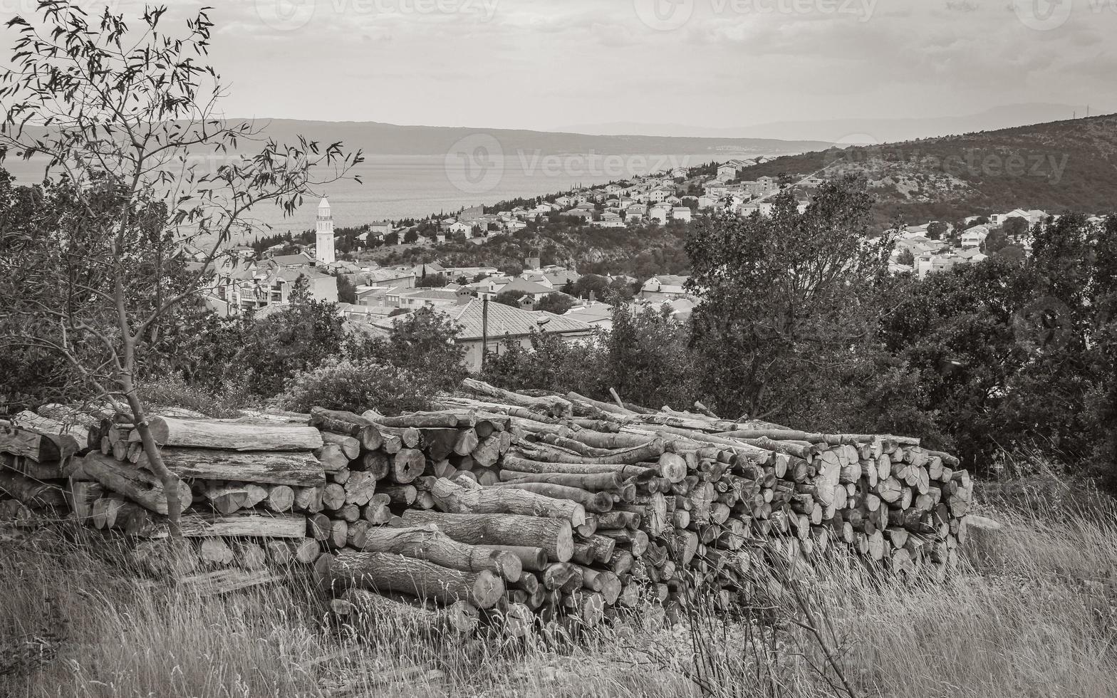 gekapt boom boomstammen liggen Aan rand van Woud in Kroatië. foto