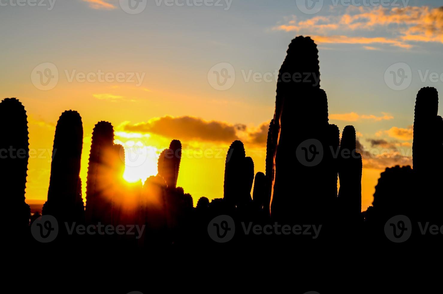 kleurrijk lucht Bij zonsondergang foto