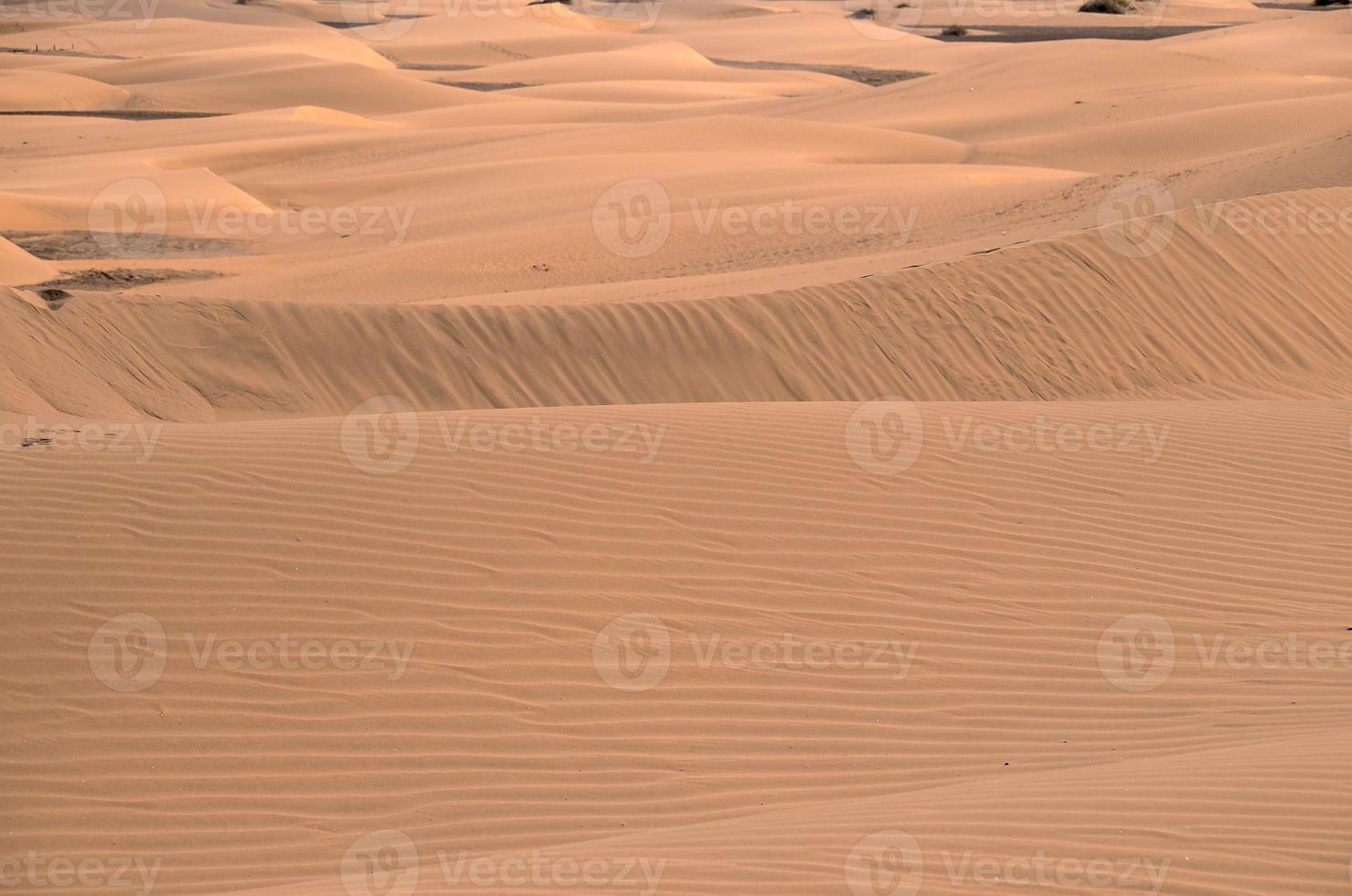 zand duinen in zomer foto