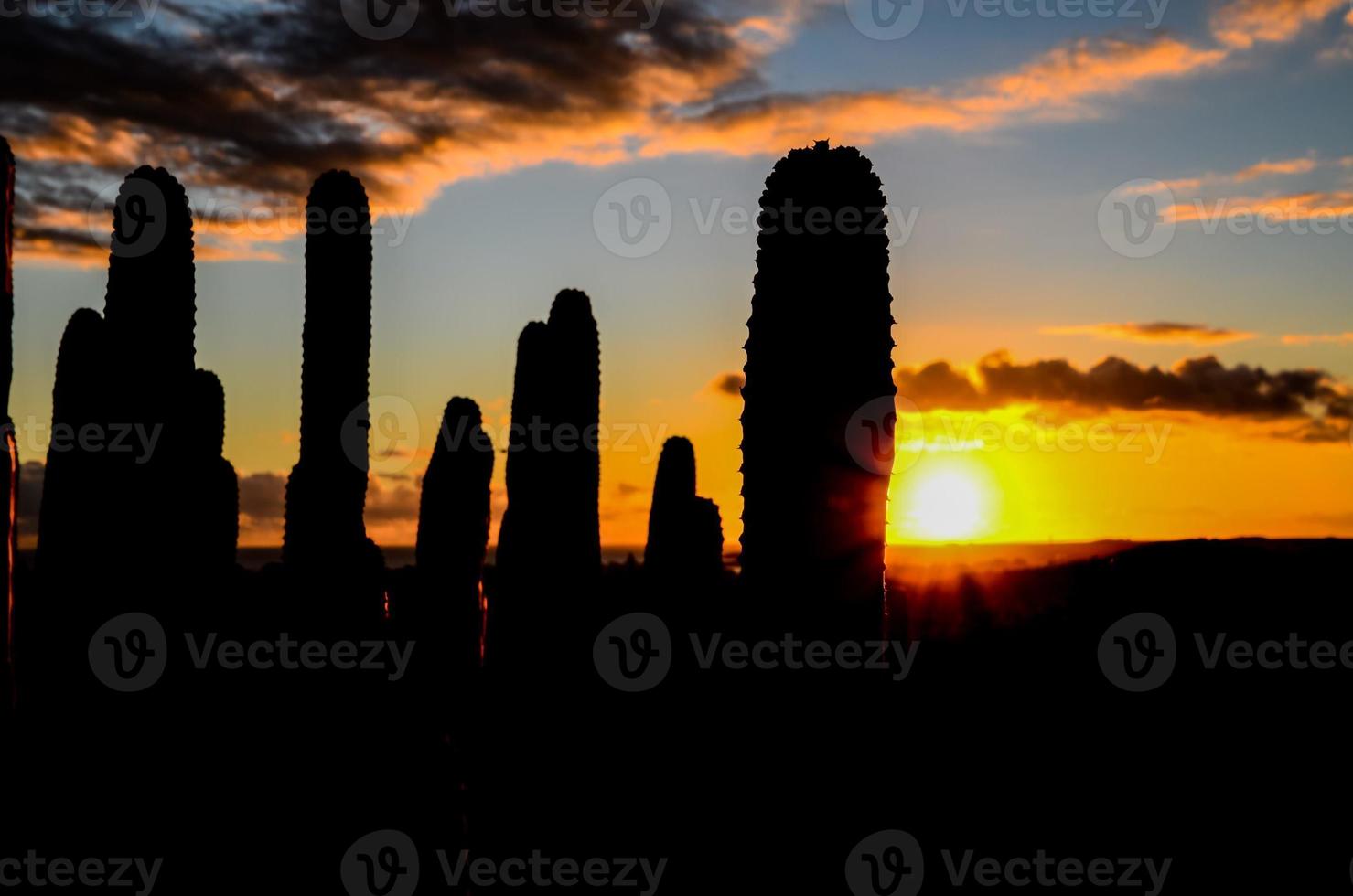 zonsondergang over- de woestijn foto