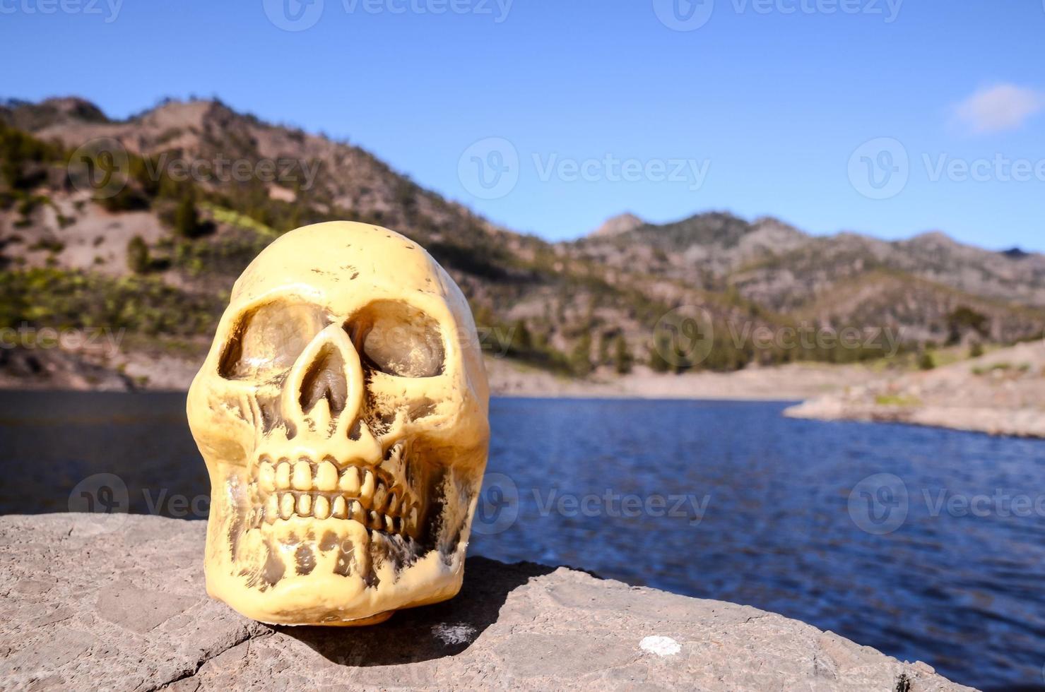 schedel Aan een rots foto