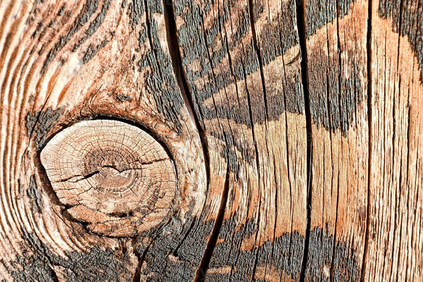 houten detailopname structuur foto