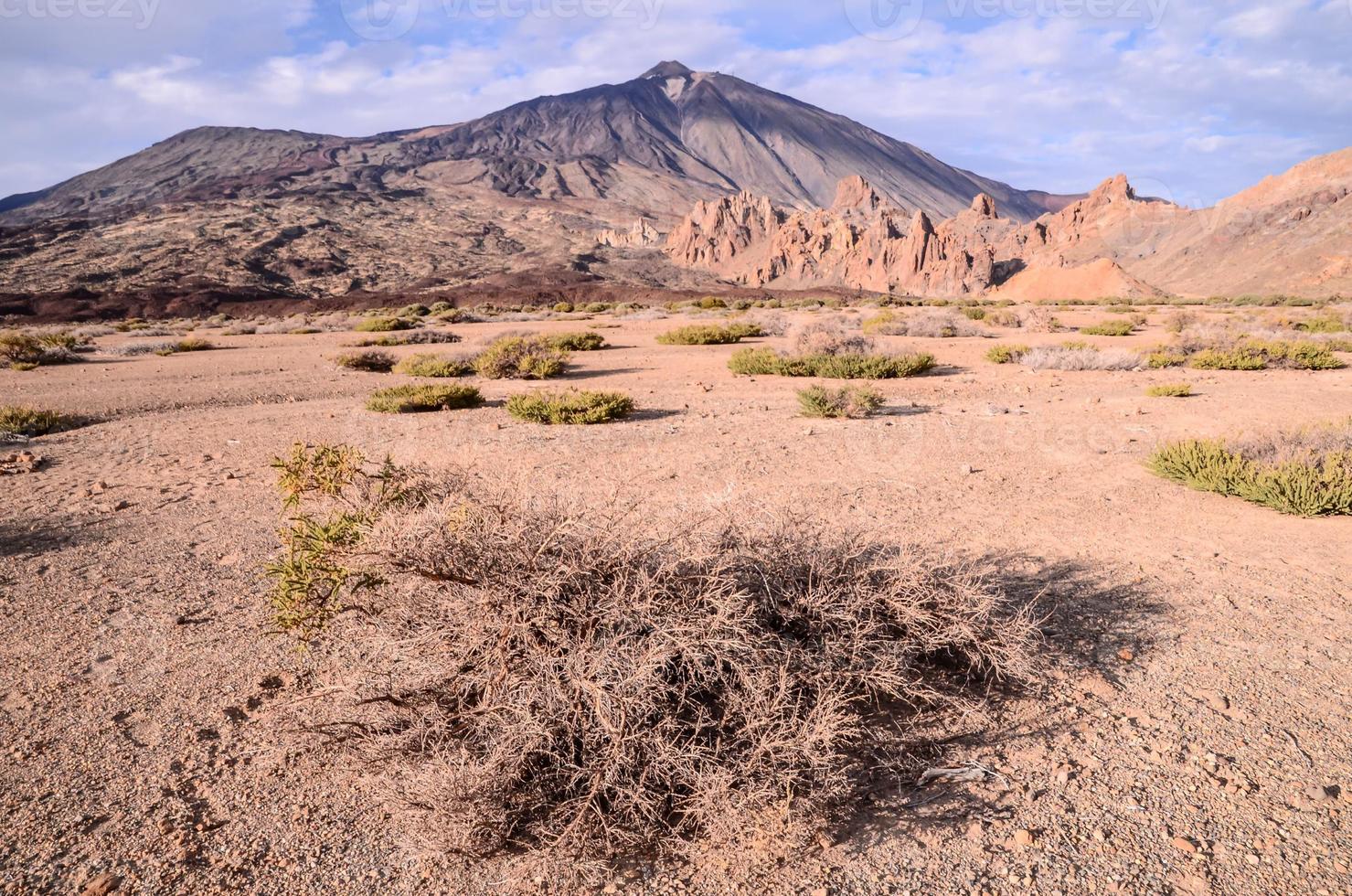 landschap in de zomer foto