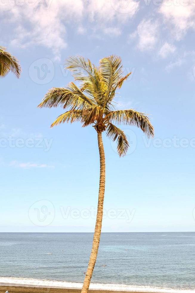 zeegezicht in de zomer foto